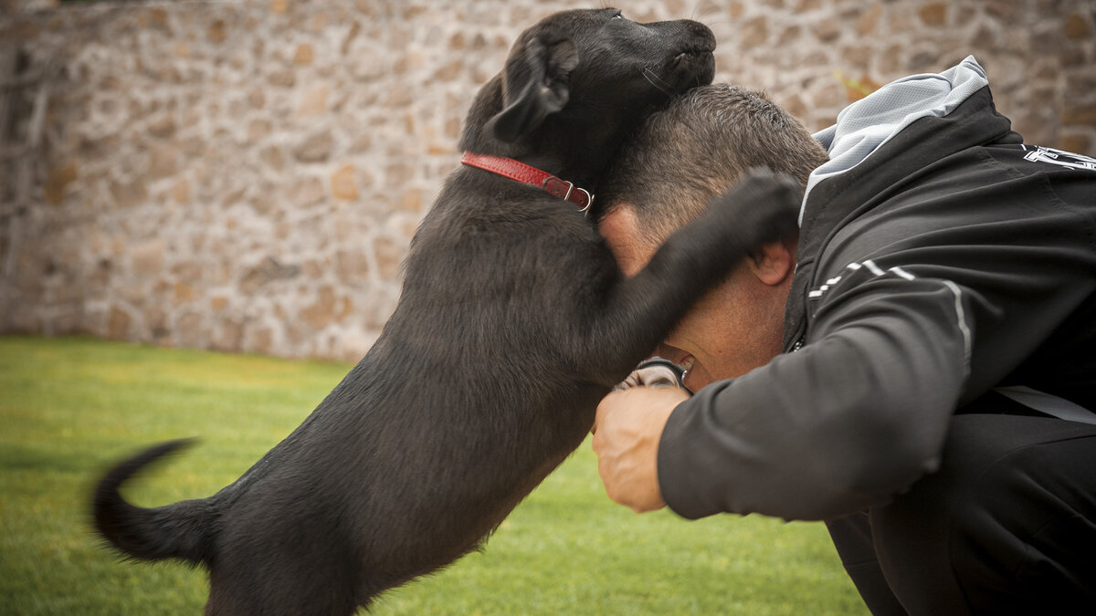Эмоции играют важную роль в отношениях между индивидуумами. Фото Iuliia Bondarenko/Pixabay