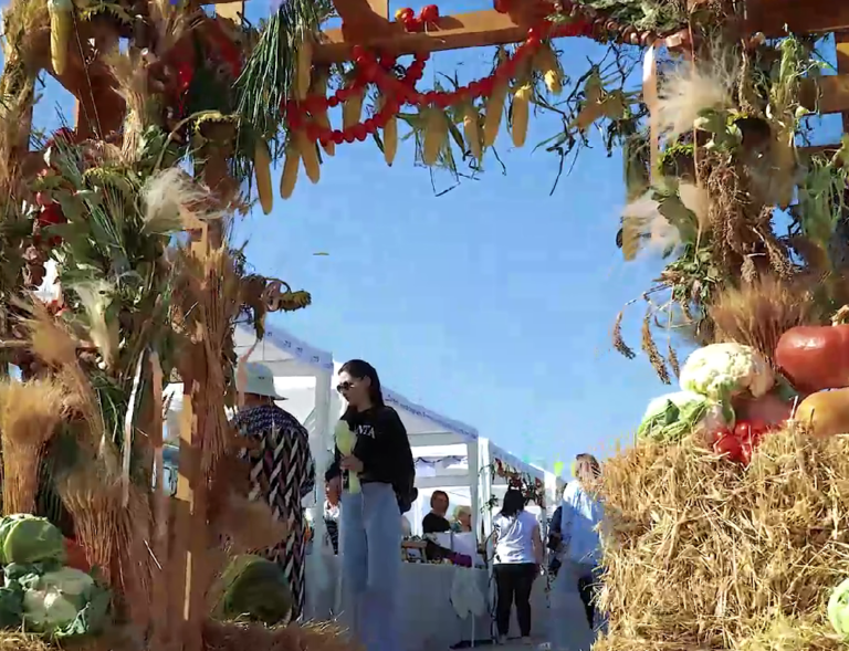    Денис Паслер поделился видео с фестиваля «Вкусы Оренбуржья» Кристина Просвиркина