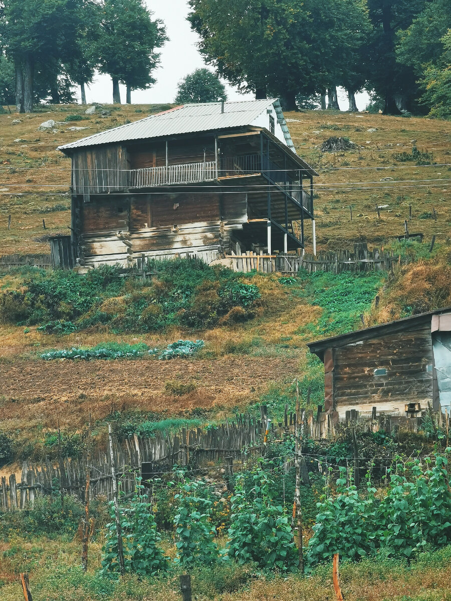 Едем в Грузию georgia4belarus.com★