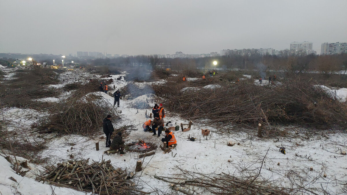 Январь 2023. лесорубы Курьяновской поймы. Недостатка в дровах нет.