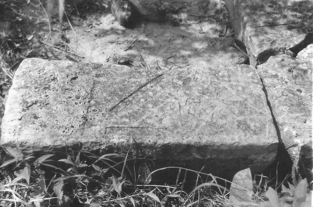 Вот как оправдывают лесорубы хаотичную прокладку ими глубоких, до глины, трелёвочных дорог через леса, поверх старых аккуратных грунтовок, ещё и разрушая при этом древние поселения и могильники разных-47