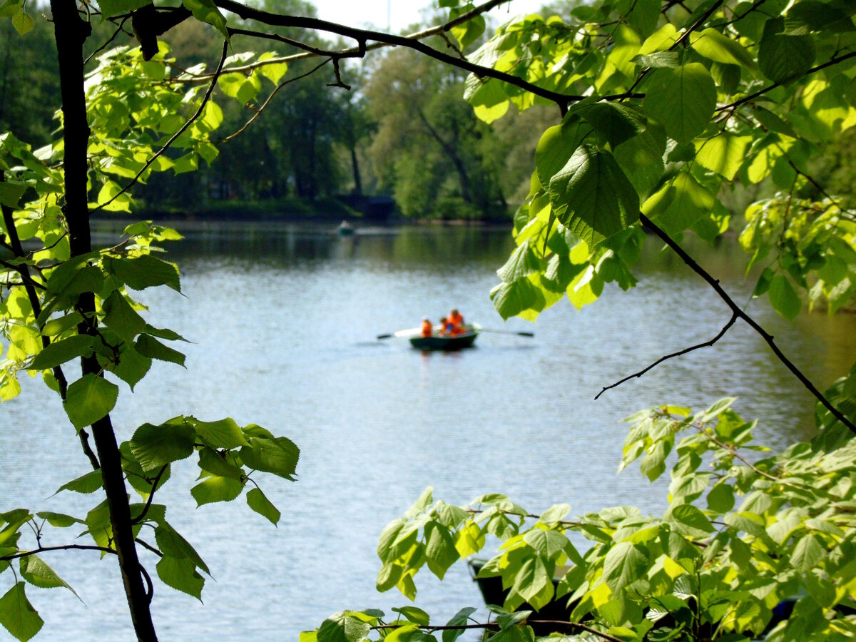 Фото автора