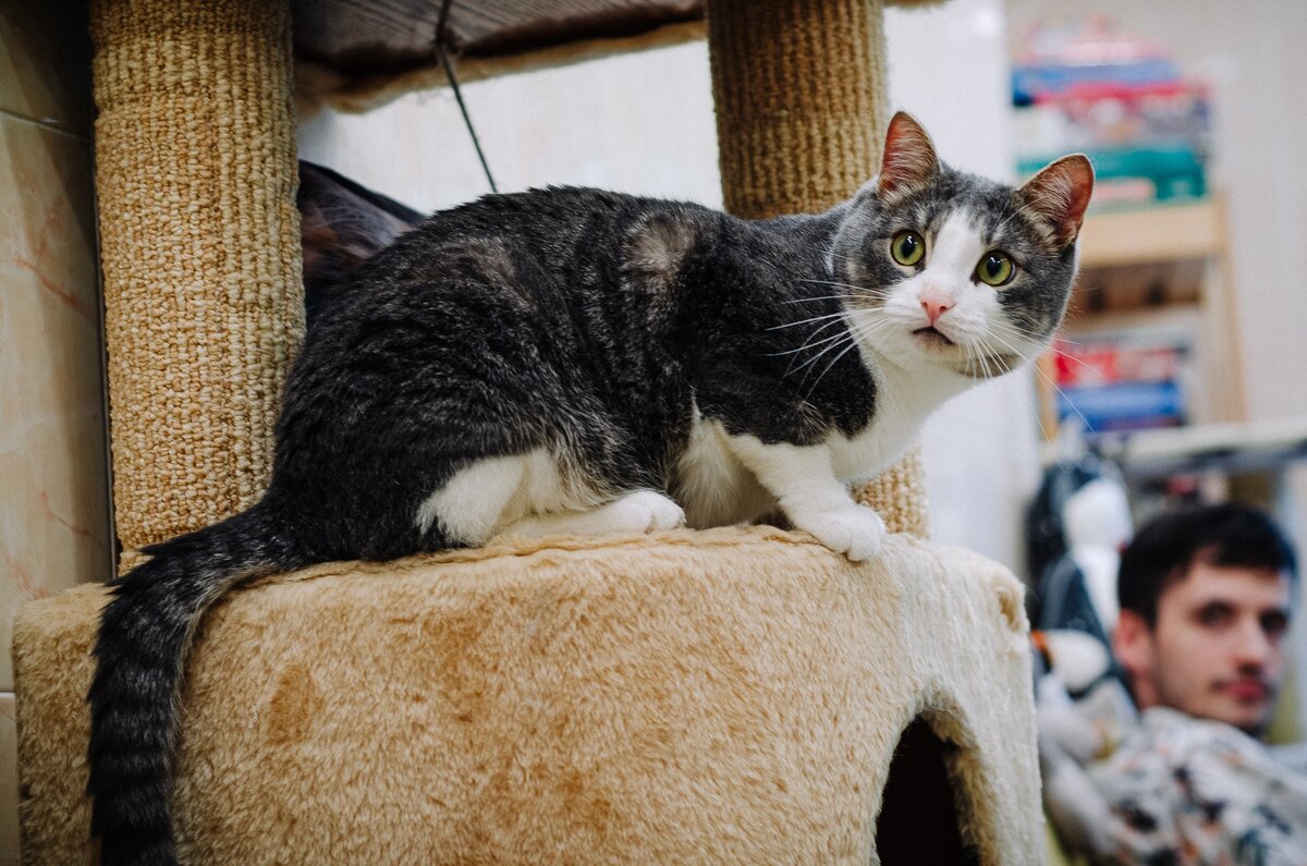 Фото: Благотворительный фонд «ЗООзащит»