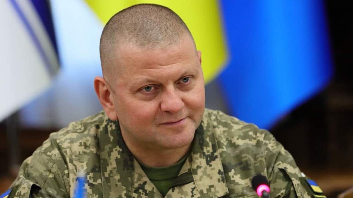  главнокомандующий уэсвэшными военными Валера Залужный.  фото: каритнки  яндекса.