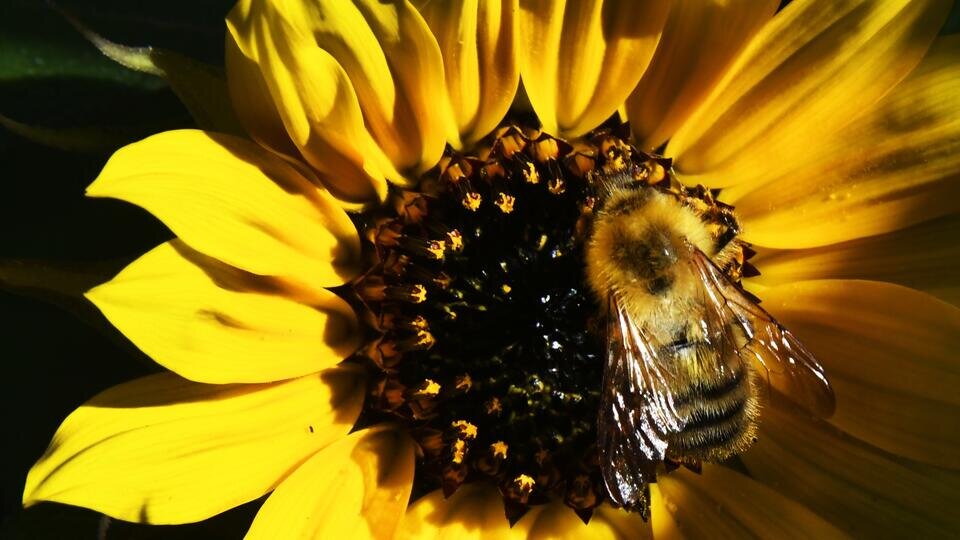 Фото: © РИА Новости/Виталий Аньков