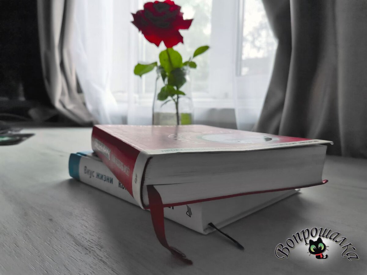 Ляссе для книги