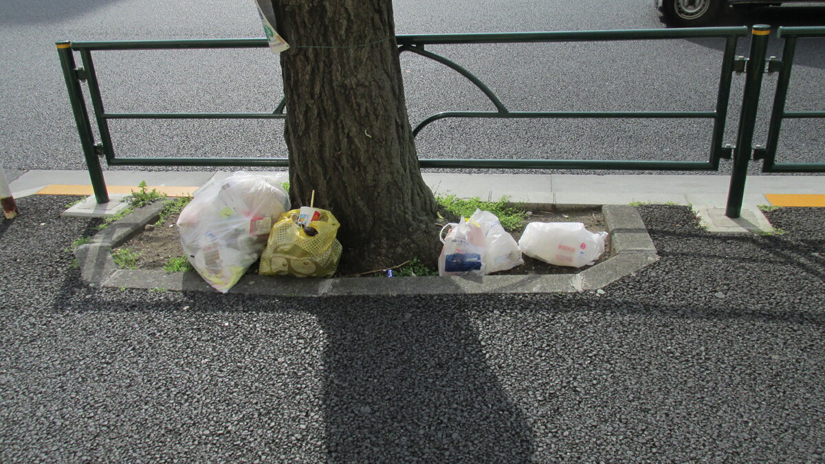     В Японии запрещено прикасаться к чужому мусору