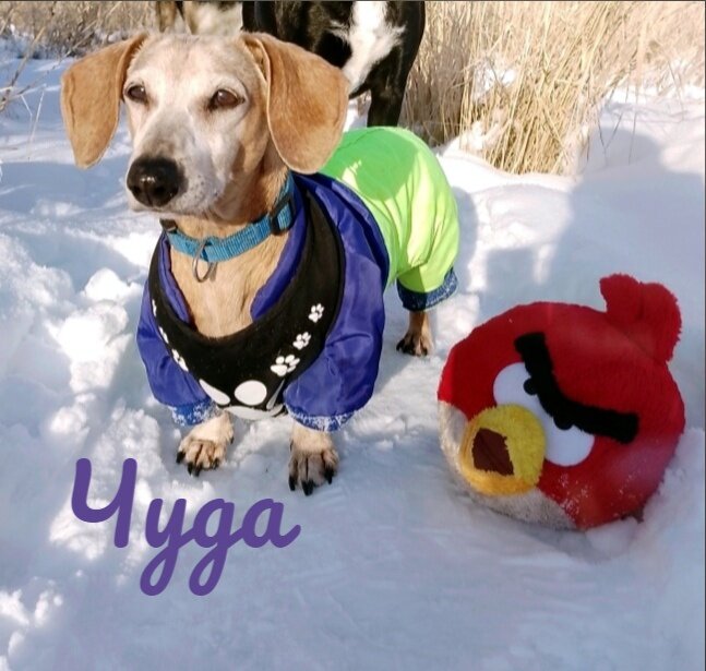 Активная бабушка Чуда