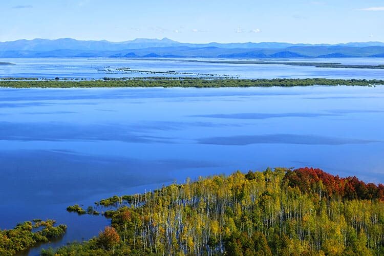 Амур: река-граница на перекрестке миров. Легенды, факты, происхождение  названия, портрет реки | Журнал СНЕГИРЬ | Дзен