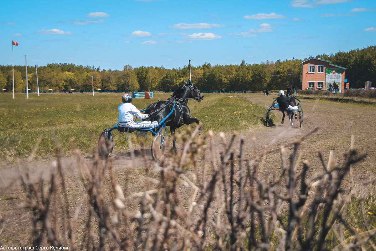 Конные бега в Чувашии. Село Батырево. | Обзор Обзорщиков | Серго Кулибин |  Дзен