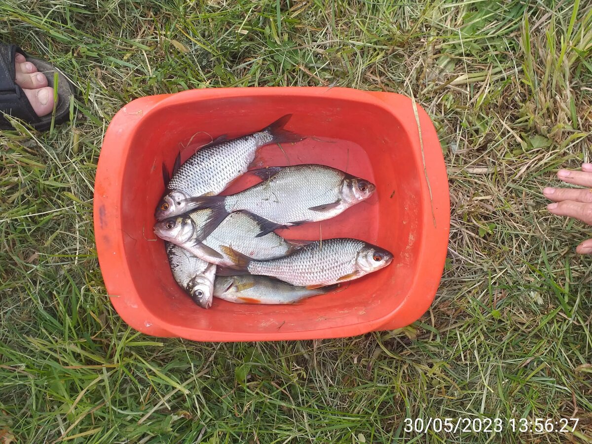 личное фото.