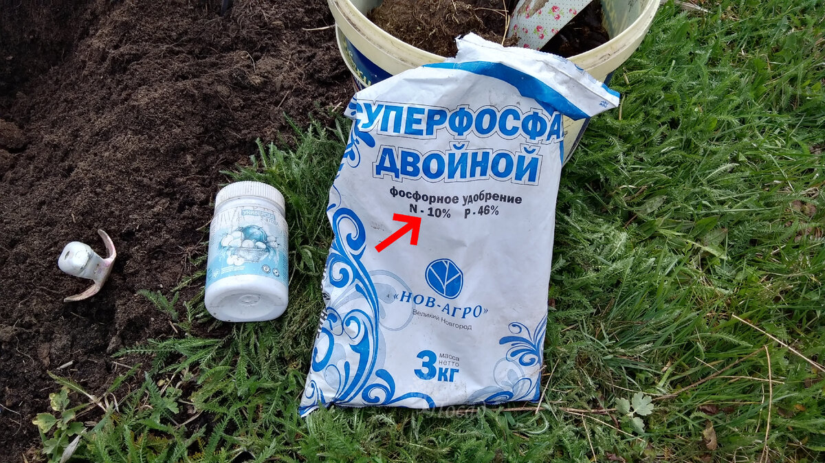 Глупые ошибки, убивающие урожай и особенности применения фосфорных ...