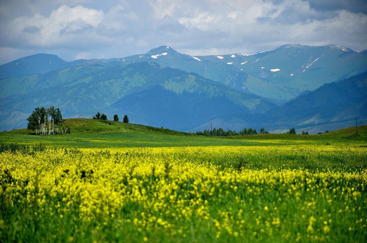 Солнечный алтай