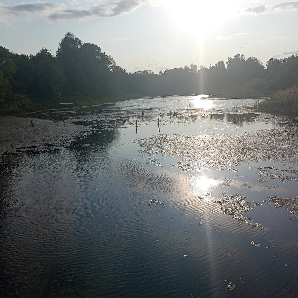 Фото автора