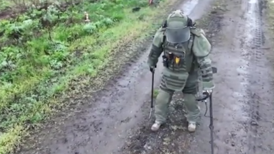 Фото: © скриншот видео