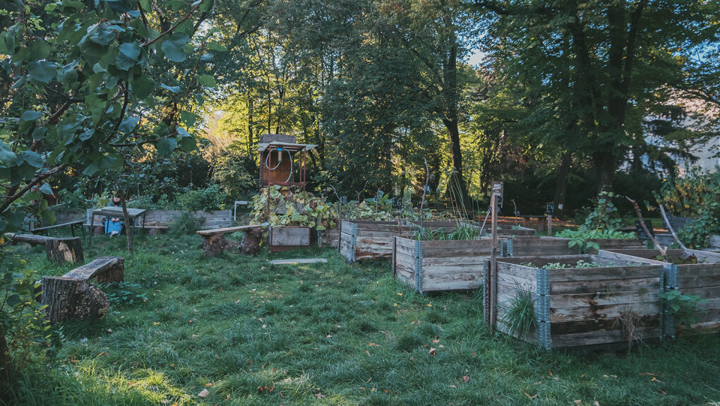 Типы Эко-Грядок Городского Огорода, Которые Можно Сделать Своими.