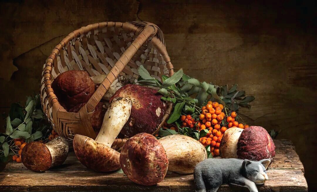 Натюрморт грибов 