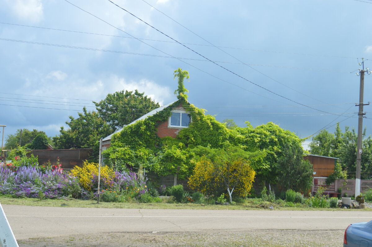 Фото автора. 02.06.2023. Станица. Зелёный дом на фоне пасмурного неба. Наверное дождь пойдёт.