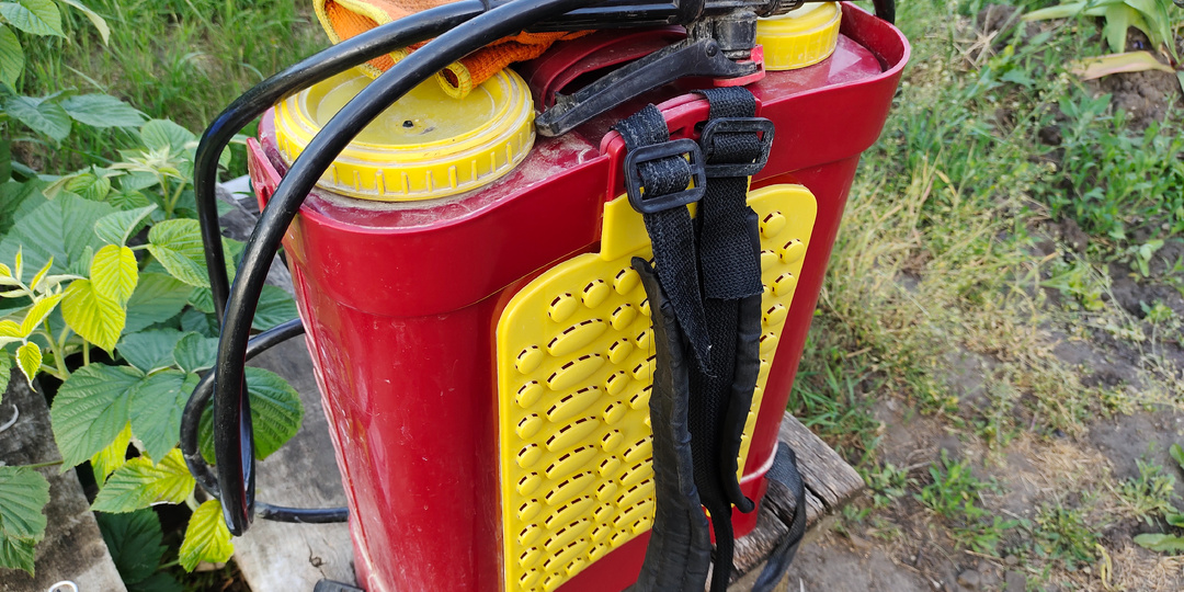 Обработка винограда перед цветением. Шпаргалка для виноградаря