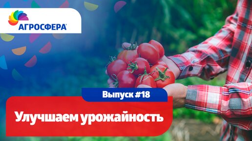 Улучшаем #урожайность на участке, советы для дачи и сада / агросфера.рф