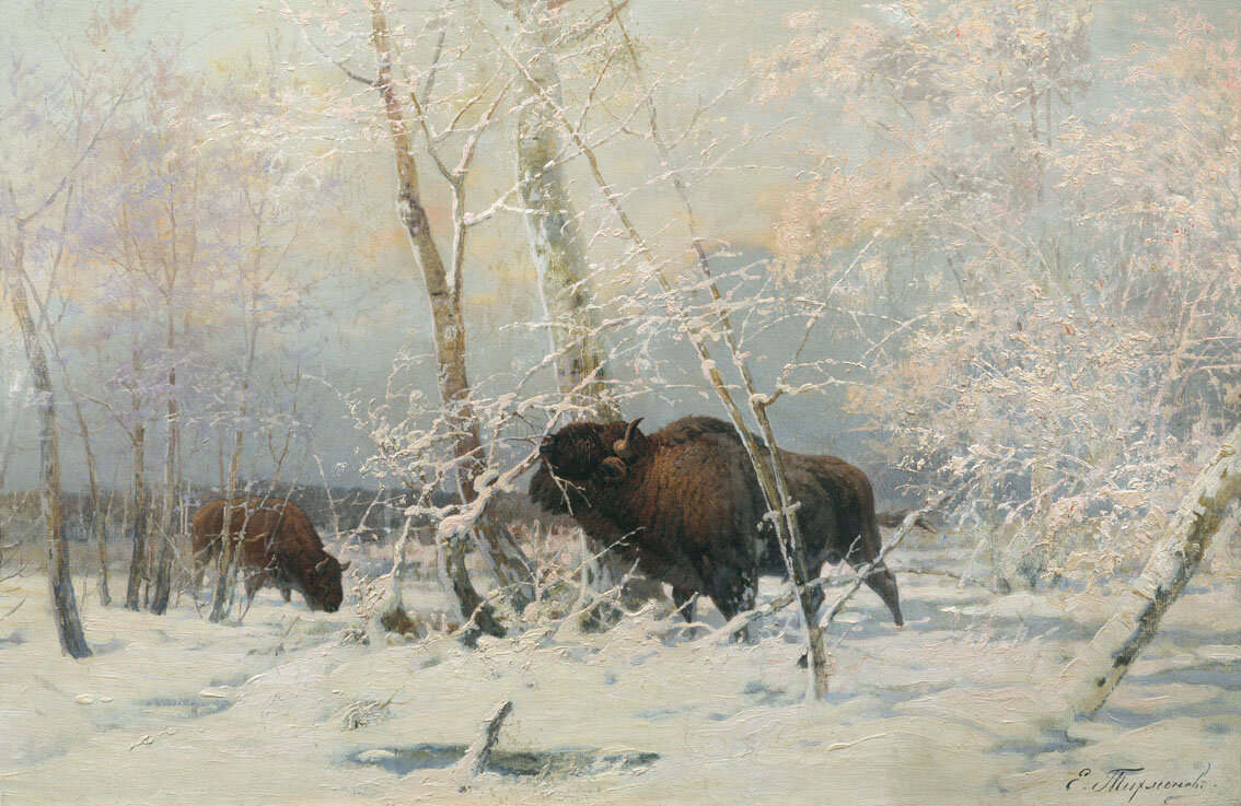 "Зубры в зимнем лесу", Е.А. Тихменев. Частное собрание.