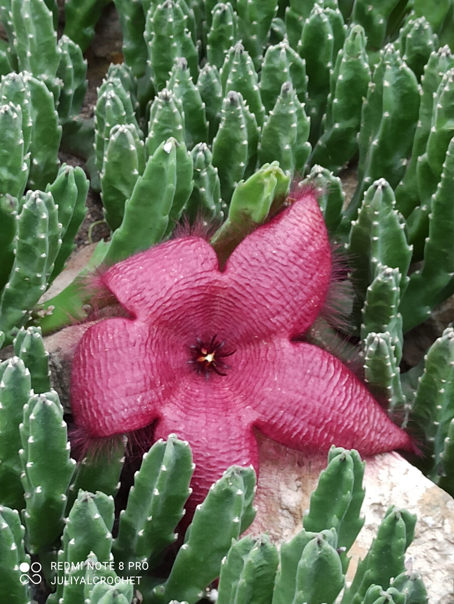 Личный архив