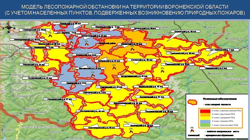    Лесопожарная обстановка в Воронежской области. Фото: МЧС