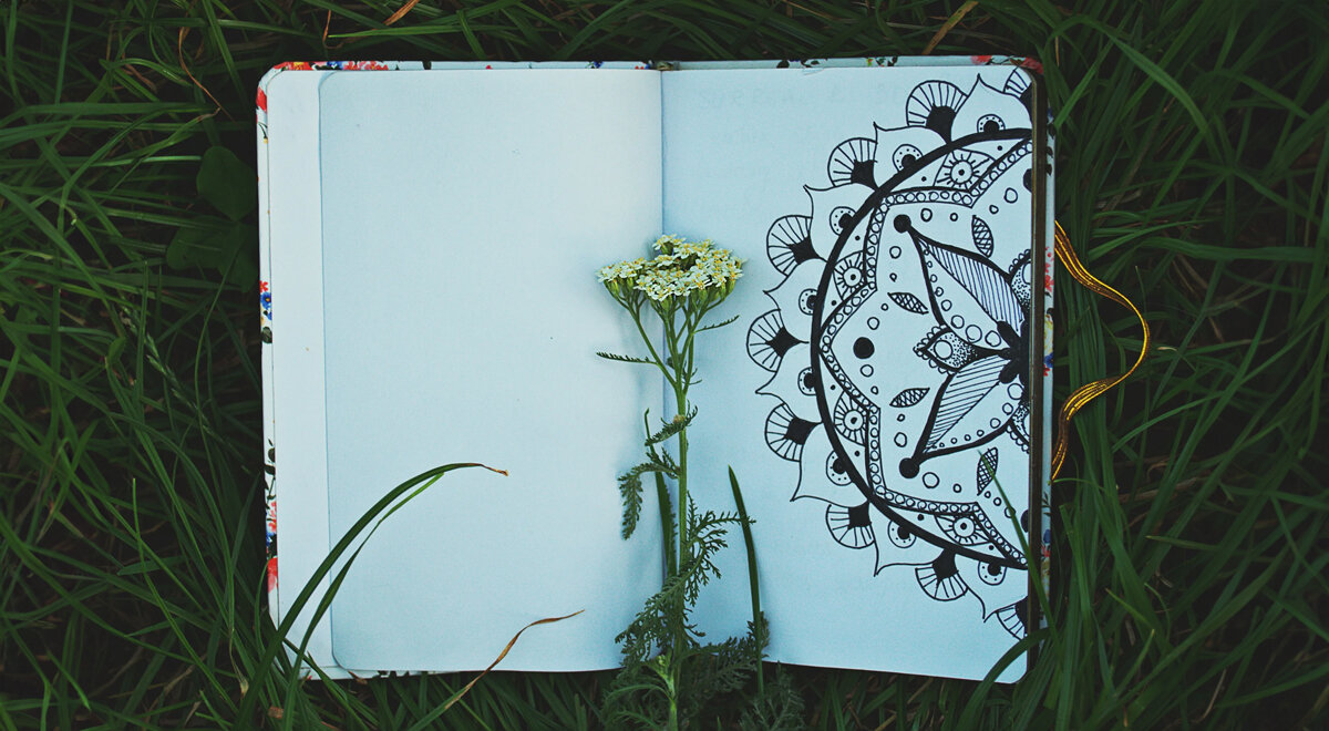 Скетчбук художника