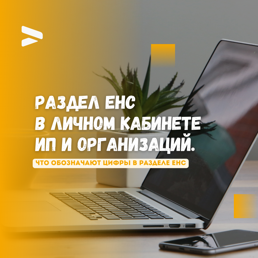 Что обозначают цифры в разделе ЕНС в личном кабинете организаций и ИП. |  Бухгалтером может стать каждый | Дзен