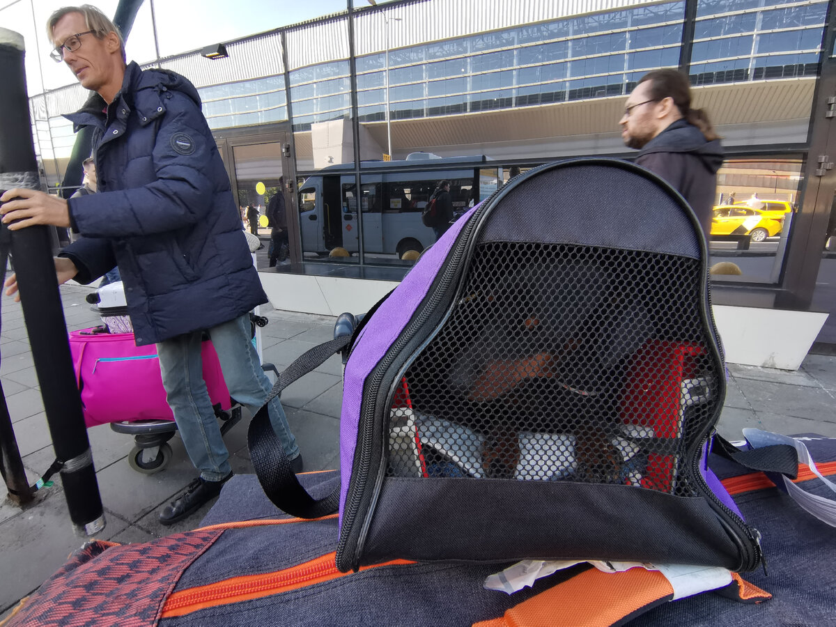 У нас с собой очень хитро две переноски, полет заявлен в жёсткой, она внутри, если докопаются, вытащим собаку и пересадим, но вообще собака выросла и в самолёте мы достали старую и предоставили Бэтти шикарные мягкие апартаменты.