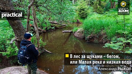 В лес за щуками – бегом, или Малая река и низкая вода.