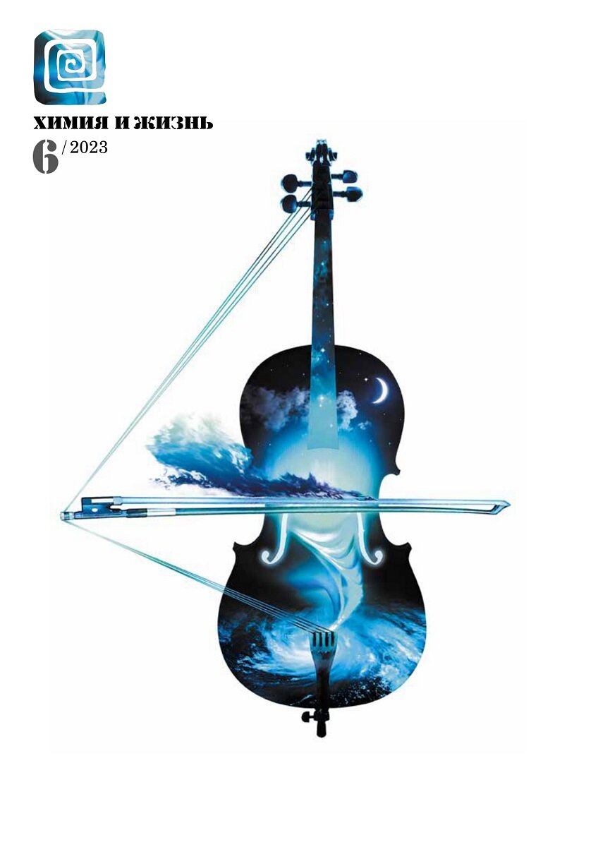 Дизайн обложки: Александр Кук