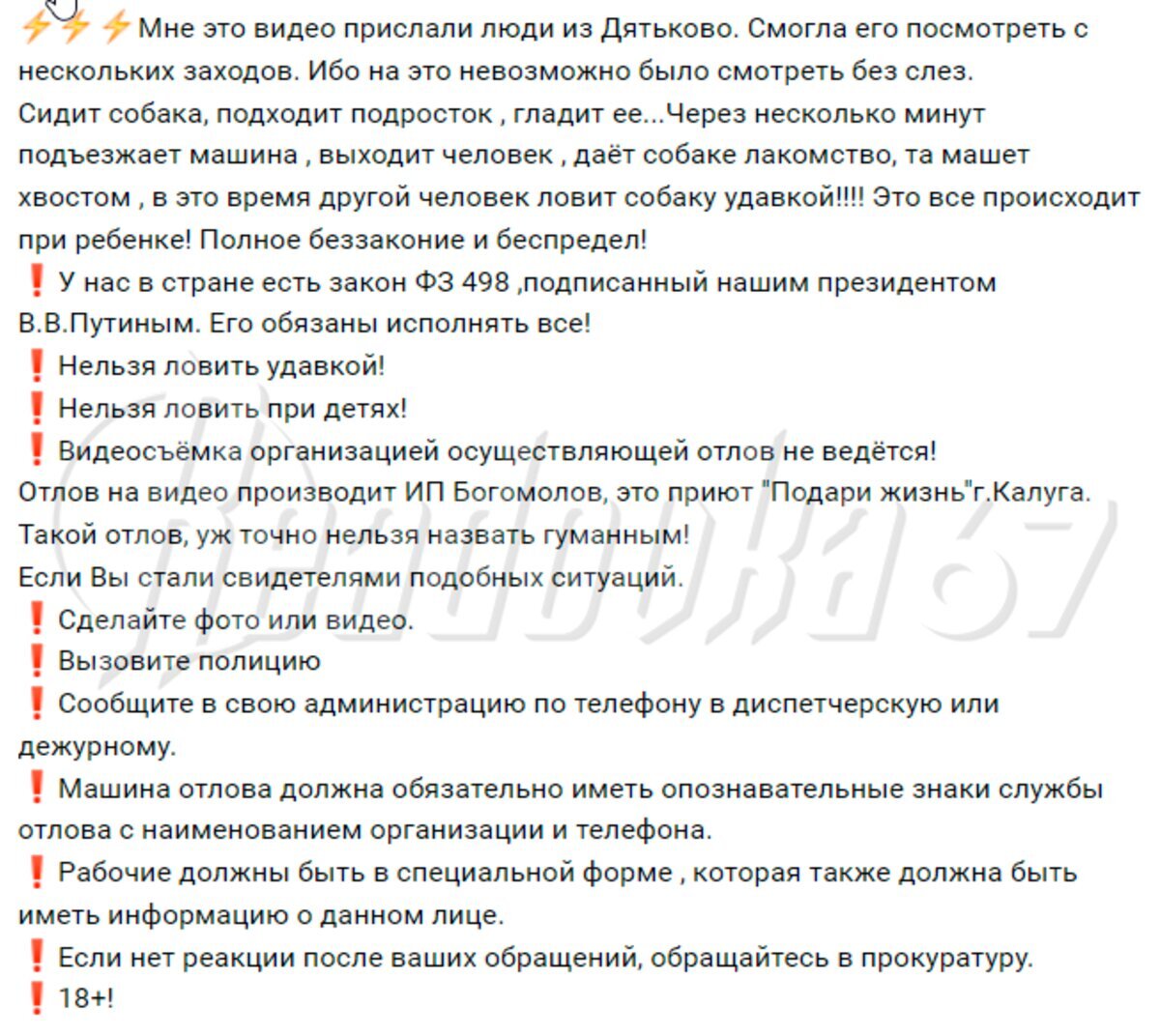 Душат собак удавками: семейный подряд Богомоловых добрался до Смоленска |  Readovka67.ru | Дзен