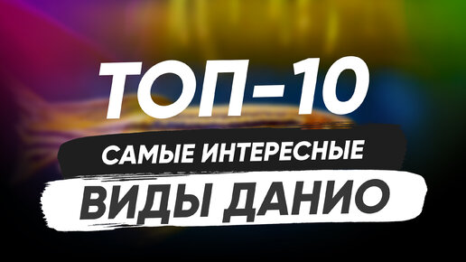 Топ-10. Данио. Виды