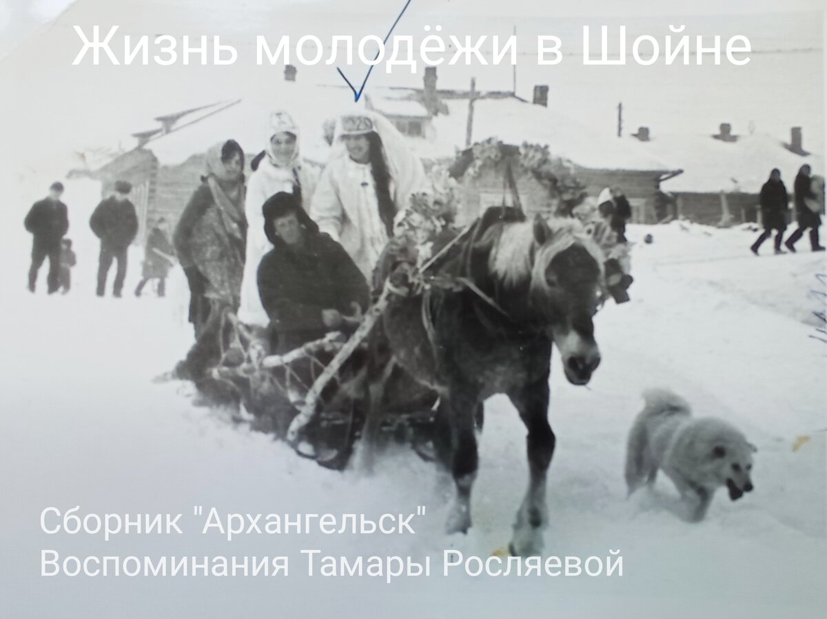 Шойна.
