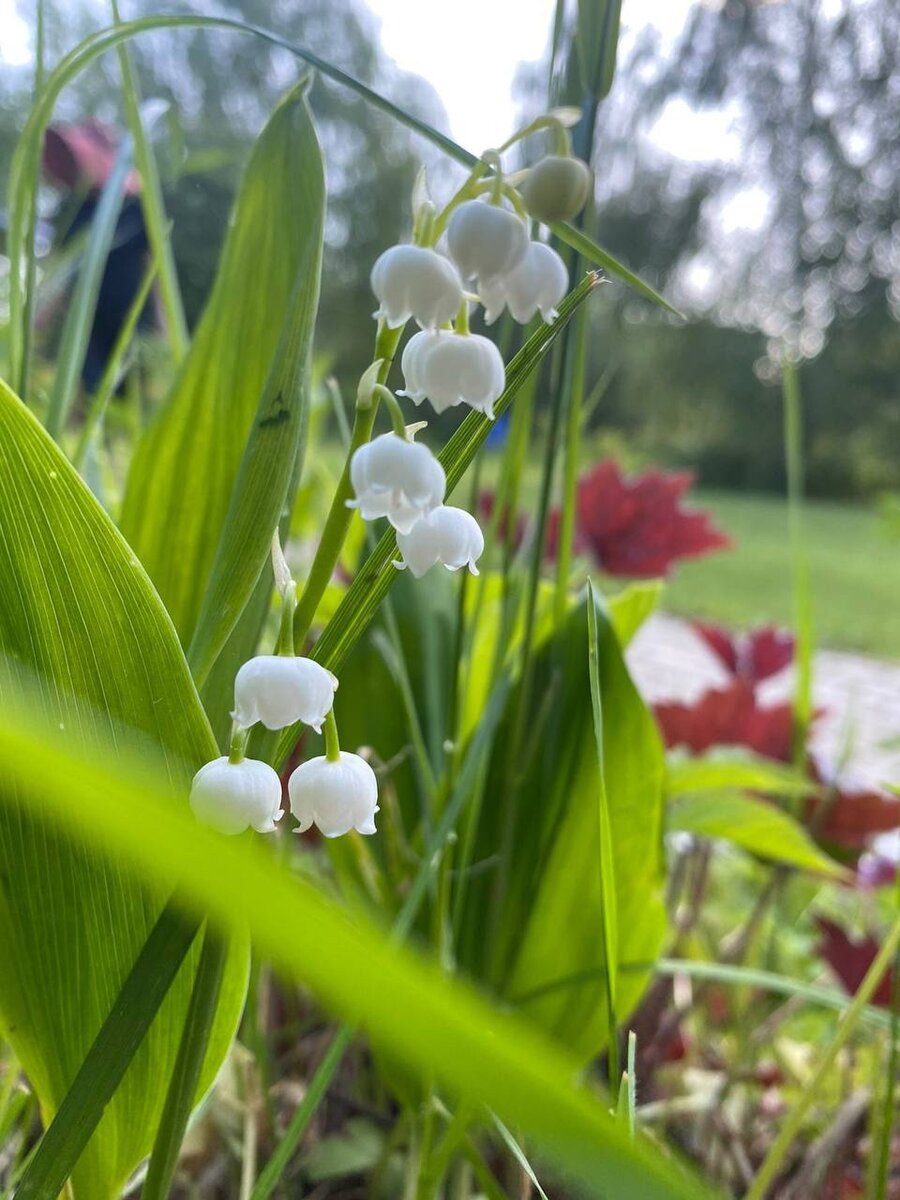 Как легко отпускать вещи | Мама с чаем | Дзен