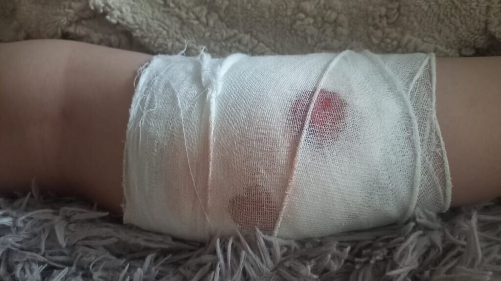    Фото: Амур.инфо