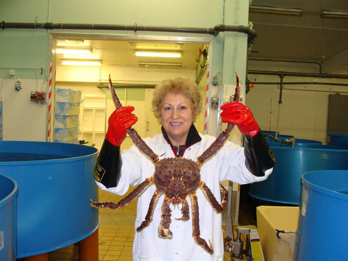 Николина Ковачева, д.б.н., начальник отдела аквакультуры беспозвоночных ФГБНУ «ВНИРО». Фото предоставлены Николиной Ковачевой