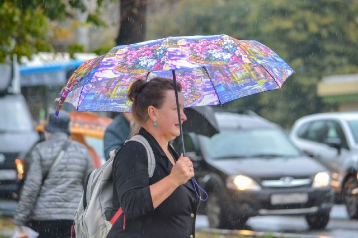    10 июня в Туле прогнозируют небольшой дождь и сильный ветер