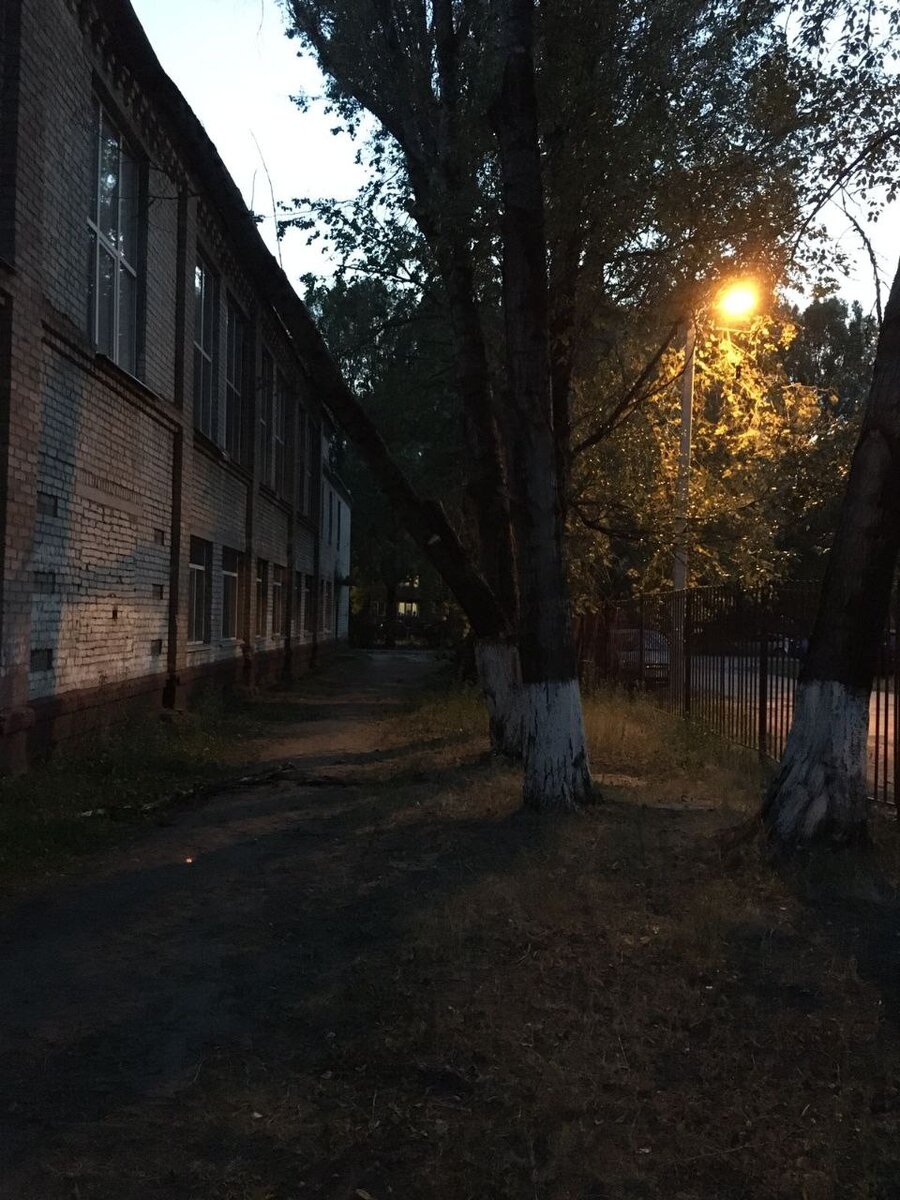    В Брянске рухнуло дерево на здание 51-й школы avchernov