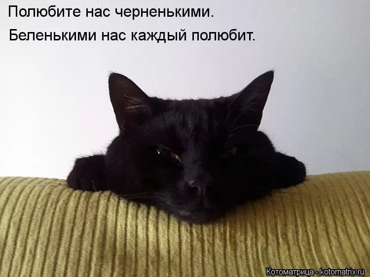 так не работает