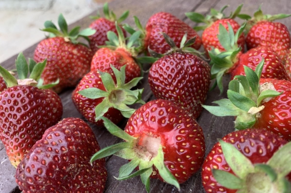    Нутрициолог Макарова объяснила, почему нельзя есть немытую клубнику