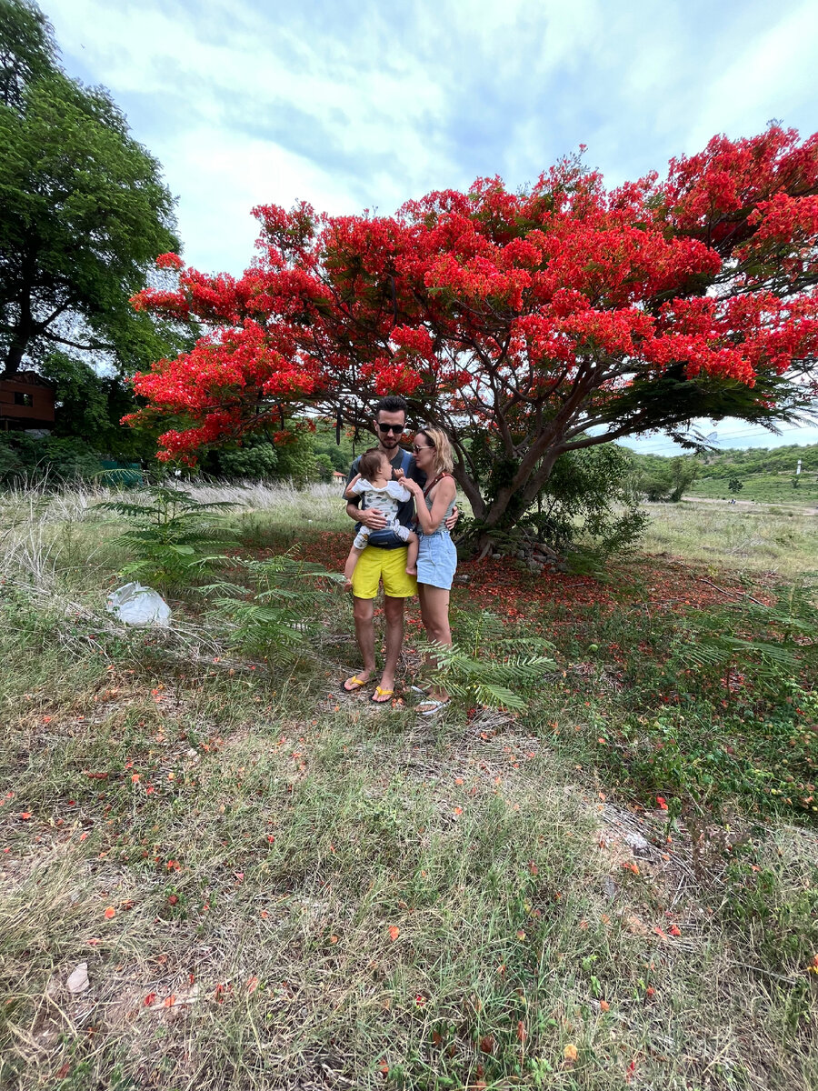 Семья, у которой есть студенческая виза в Таиланде. Фото автора