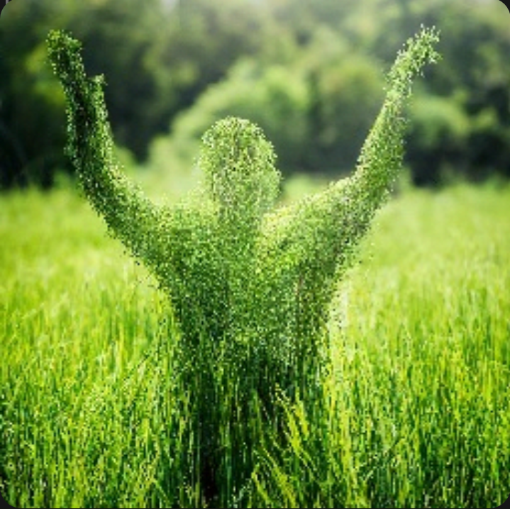 Фото взято из свободного источника