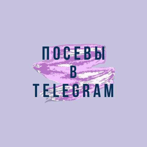 Telegram | Посевы. Кейс: +6.368 подписчиков по 24 рубля в телеграм-канал по  английскому | Ksuu про закупы в Telegram | Дзен