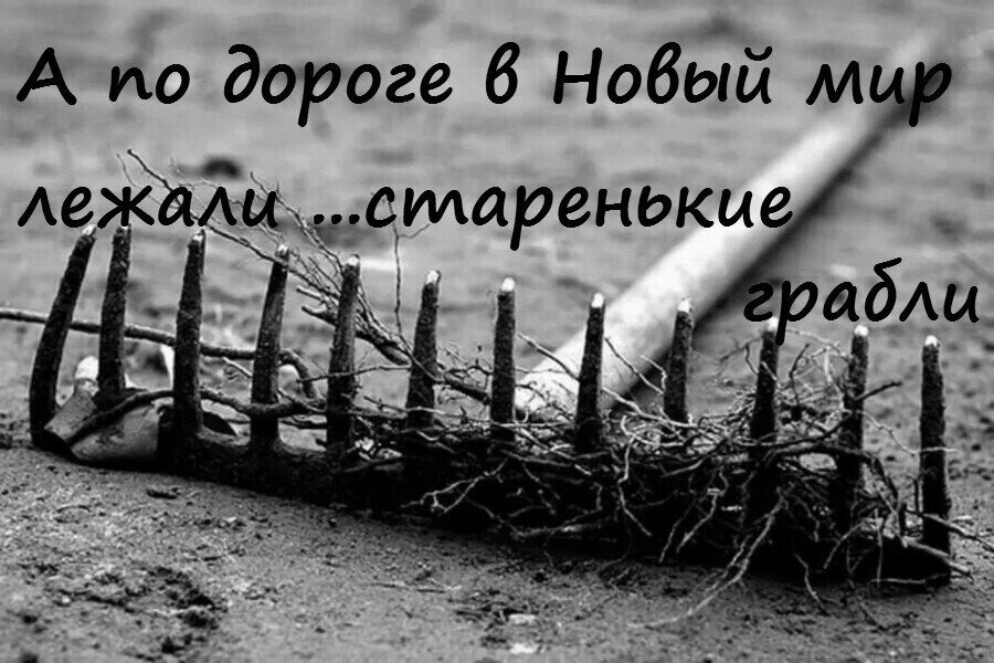 Наступить на те же грабли. Наступать на одни и те же грабли. Наступить на грабли. Снова на грабли наступили.