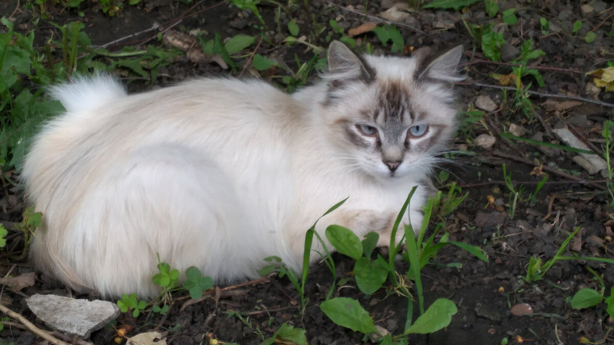 Фото автора. Не совсем удачное.