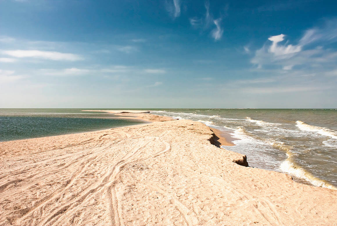 Фото: AlixSaz / Wikimedia Commons