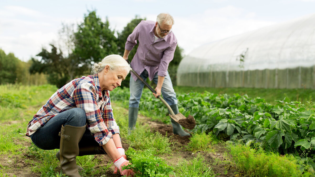 Фото  из открытых источников 