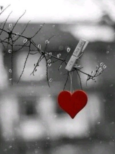 https://ru.pinterest.com/pin/118712140170094445/